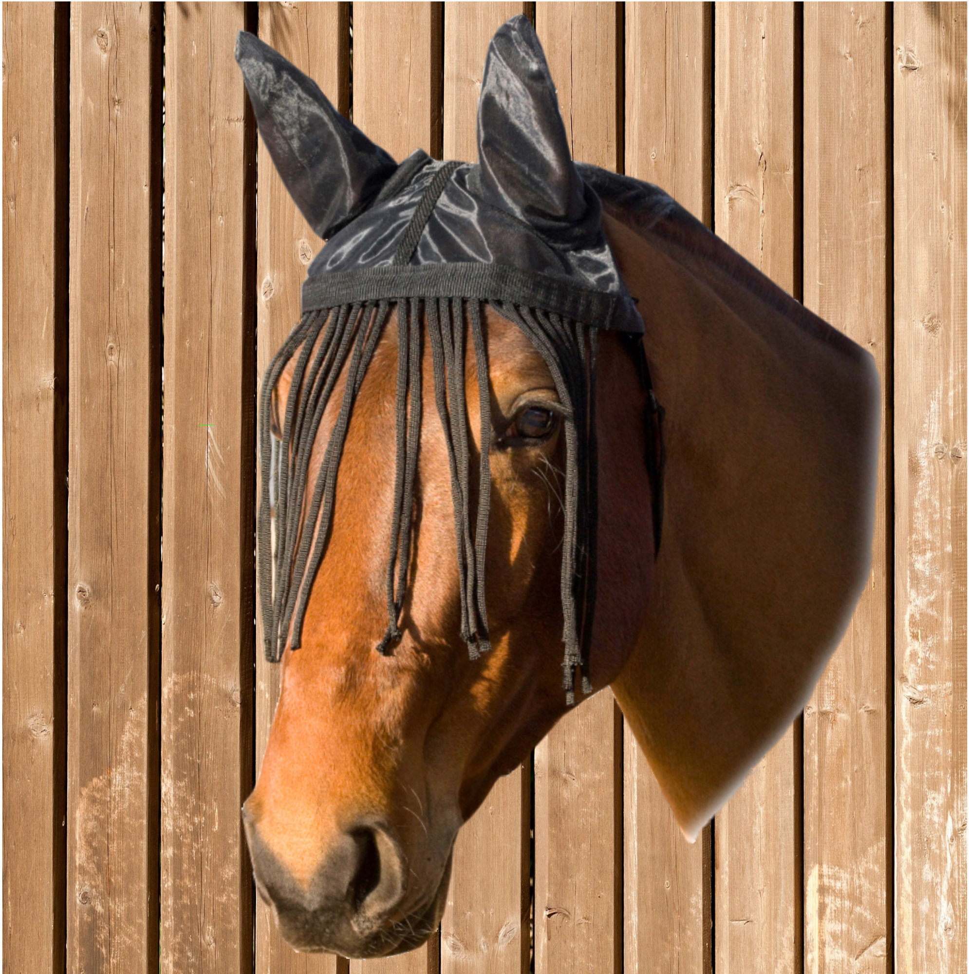 Fliegenohren mit Fransen, USG Fliegenhaube